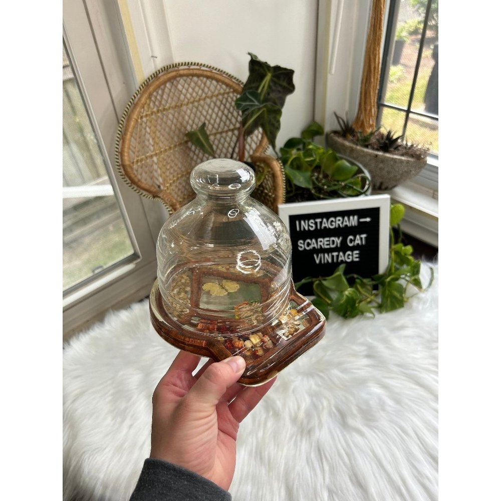 Lucite cheese tray board glass dome top lidded dried butterfly beans charcuterie